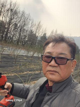 정헌경님의 매실 · 영농일지 작성글 사진