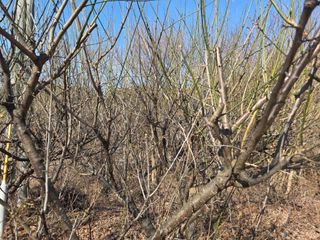 고구마20582님의 작성글 사진