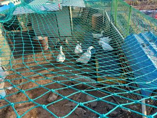 최정윤님의 딸기 · 영농일지 작성글 사진