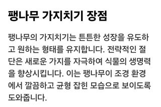 (팽나무*공주)님의 기타작물 · 영농일지 작성글 사진