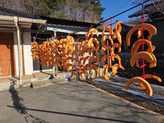 윤자용11대임후회장님의 기타작물 · 영농일지 작성글 사진