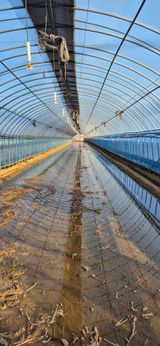 팜모닝 기타작물·영농일지 게시글 이미지