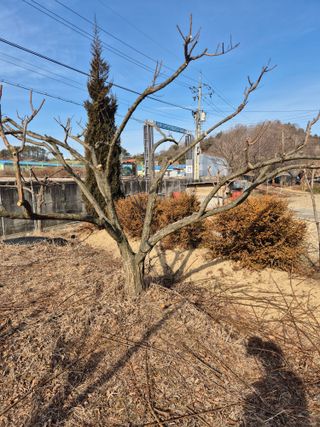 농민님의 포도 · 영농일지 작성글 사진