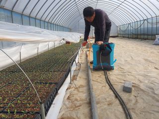 금은숙님의 기타작물 · 영농일지 작성글 사진