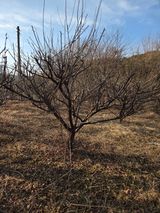 고구마20582님의 작성글 사진