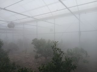 라이온3241님의 귤 · 영농일지 작성글 사진