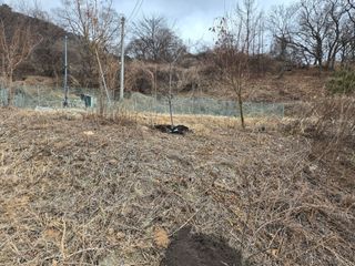 오세창님의 감 · 영농일지 작성글 사진