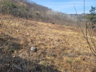 서성환님의 기타작물 · 영농일지 작성글 사진