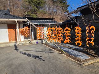 윤자용11대임후회장님의 기타작물 · 영농일지 작성글 사진