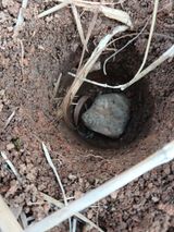 팜모닝 감자·영농일지 게시글 이미지