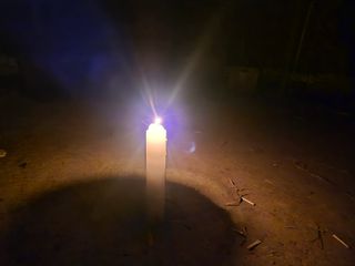 늘햇살팜 님의 기타작물 · 영농일지 작성글 사진