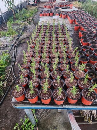 한재범님의 기타작물 · 영농일지 작성글 사진