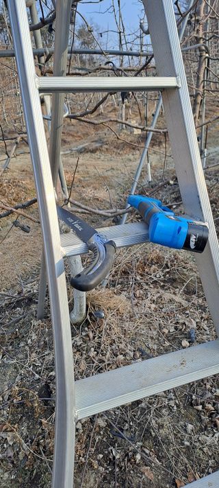 능금아저씨님의 기타작물 · 영농일지 작성글 사진