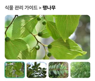 (팽나무*공주)님의 기타작물 · 영농일지 작성글 사진