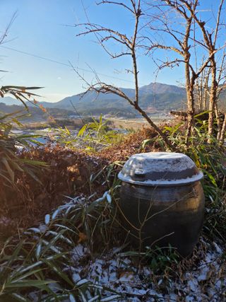 한병훈님의 기타작물 · 영농일지 작성글 사진