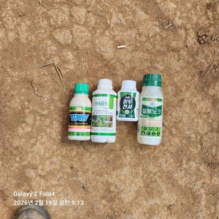 김성훈님의 기타작물 · 영농일지 작성글 사진