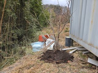오세창님의 감 · 영농일지 작성글 사진