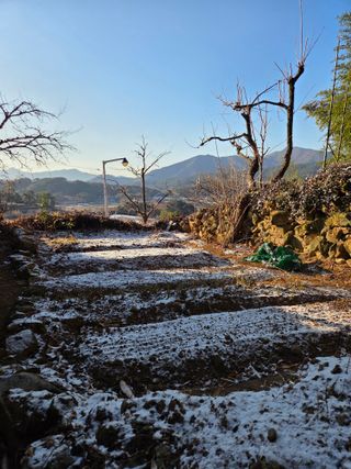 한병훈님의 기타작물 · 영농일지 작성글 사진