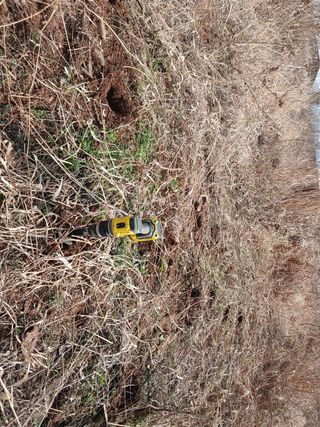 블루하늘TV님의 감자 · 영농일지 작성글 사진