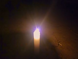 늘햇살팜 님의 기타작물 · 영농일지 작성글 사진