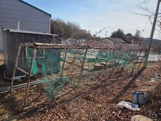 김정은님의 기타작물 · 영농일지 작성글 사진