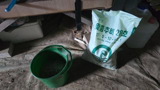 김영한님의 파 · 영농일지 작성글 사진