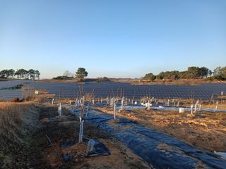 블루하늘TV님의 기타작물 · 영농일지 작성글 사진