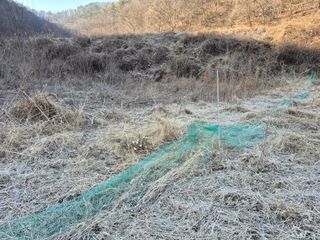 엉뚱님의 기타작물 · 영농일지 작성글 사진