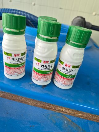 안병찬님의 딸기 · 영농일지 작성글 사진