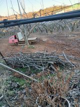 팜모닝 배·영농일지 게시글 이미지