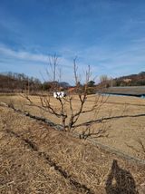 이병찬님의 작성글 사진