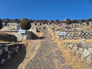 늘햇살팜 님의 기타작물 · 영농일지 작성글 사진