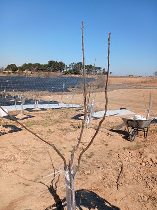 블루하늘TV님의 기타작물 · 영농일지 작성글 사진