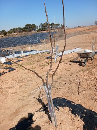 블루하늘TV님의 기타작물 · 영농일지 작성글 사진