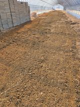 팜모닝 벼·영농일지 게시글 이미지