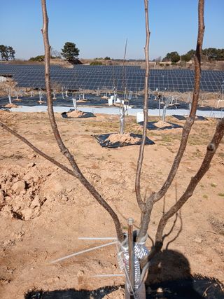 블루하늘TV님의 기타작물 · 영농일지 작성글 사진