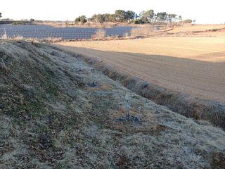 블루하늘TV님의 기타작물 · 영농일지 작성글 사진