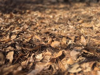 늘햇살팜 님의 기타작물 · 영농일지 작성글 사진