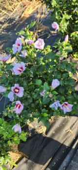 이정현님의 작성글 사진