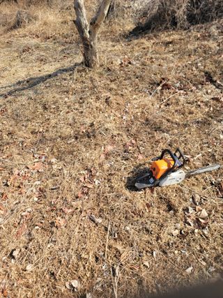 서성환님의 감 · 영농일지 작성글 사진