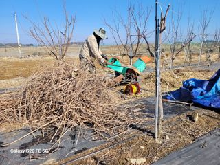 조상연님의 기타작물 · 영농일지 작성글 사진
