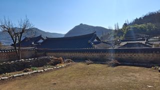 수기님의 두릅 · 영농일지 작성글 사진