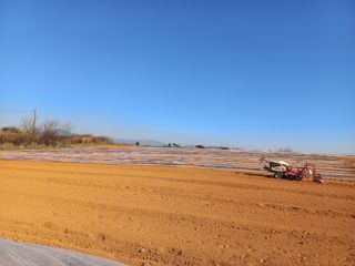 박린님의 감자 · 영농일지 작성글 사진