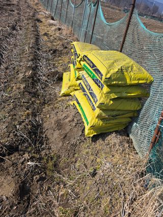 신호진님의 콩 · 영농일지 작성글 사진