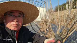 염봉섭님의 기타작물 · 영농일지 작성글 사진