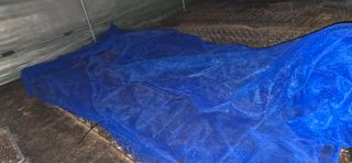 두릅나무15847님의 기타작물 · 영농일지 작성글 사진