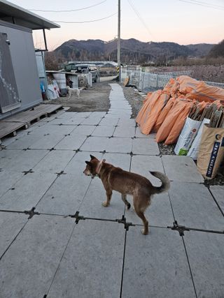 류대균님의 기타작물 · 영농일지 작성글 사진