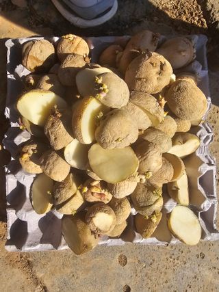 연모 자연의행복님의 기타작물 · 영농일지 작성글 사진