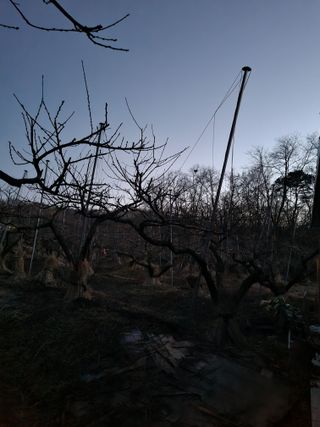 논산푸른팜님의 복숭아 · 영농일지 작성글 사진