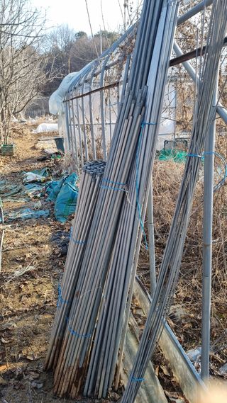 김지철님의 기타작물 · 영농일지 작성글 사진